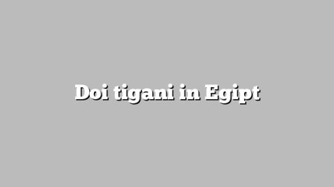 Doi tigani in Egipt