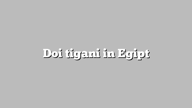 Doi tigani in Egipt