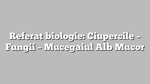 Referat biologie: Ciupercile – Fungii – Mucegaiul Alb Mucor