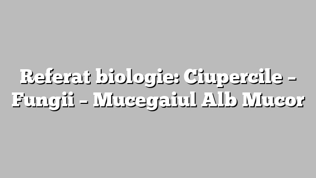 Referat biologie: Ciupercile – Fungii – Mucegaiul Alb Mucor