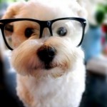 Poză de profil pentru Manolache Raluca